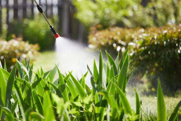 24/7 Emergency Cockroach Control experts in Afton, WY